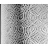 Papier toaletowy MERIDA TOP, biały, średnica 19 cm, długość 120 m, dwuwarstwowy, zgrzewka 12 szt., ECOLABEL